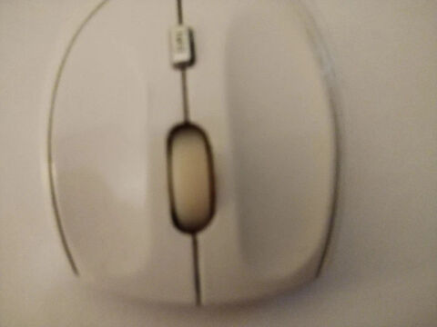 Souris sans fil grise et blanche 2 Alenon (61)