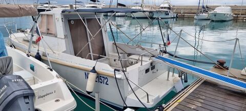 Bateaux à moteur Pêche-promenade 1991 occasion Cagnes-sur-Mer 06800
