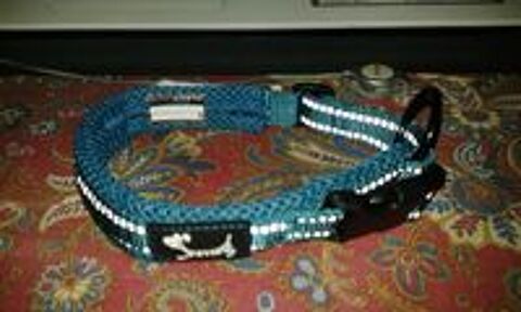   collier petit chien 
