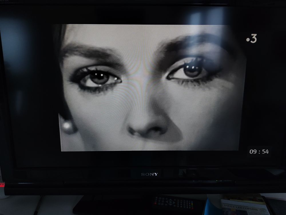 DVD Marie LAFORET "chanteuse malgr&eacute; elle" DVD et blu-ray