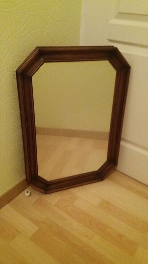Miroir 55 Mésanger (44)