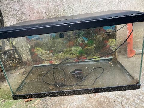 Aquarium 60x30x40 38 94800 Villejuif
