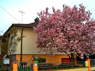Location  Gîte 