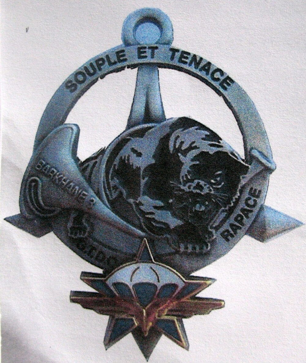 JE RECHERCHE CES INSIGNES 1 RCP 