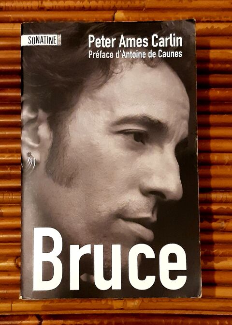 Biographie de Bruce Springsteen  8 Pau (64)