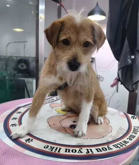 KIM SE TROUVE DANS UN REFUGE EN CHINE 0 75018 Paris