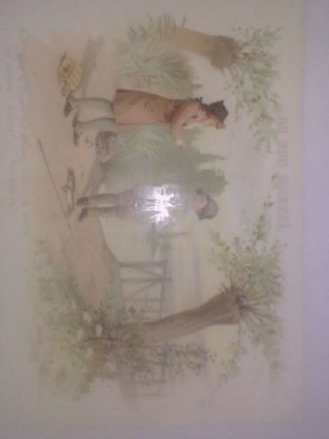 Chromo Au bon march Paris Pche Chasse Amende Enfants Lac 6 8 Nrac (47)