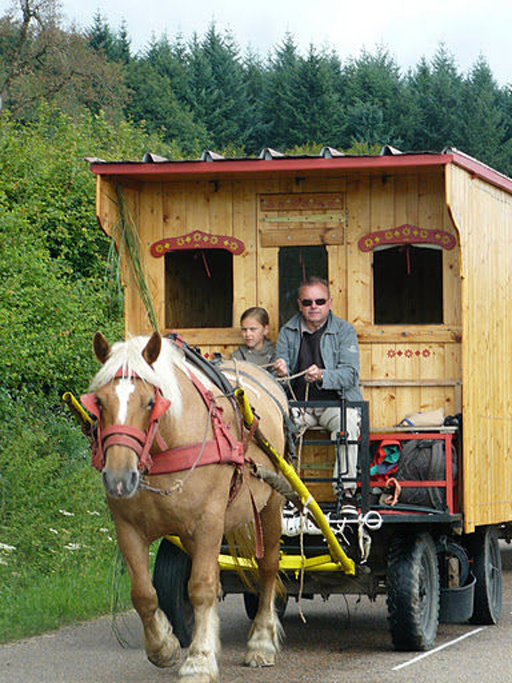   vacances en roulotte à cheval Bourgogne, Saint-Vallier (71230)