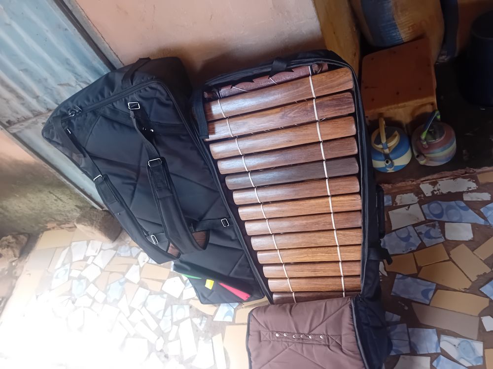Des Balafons professionnel 16 lames Instruments de musique