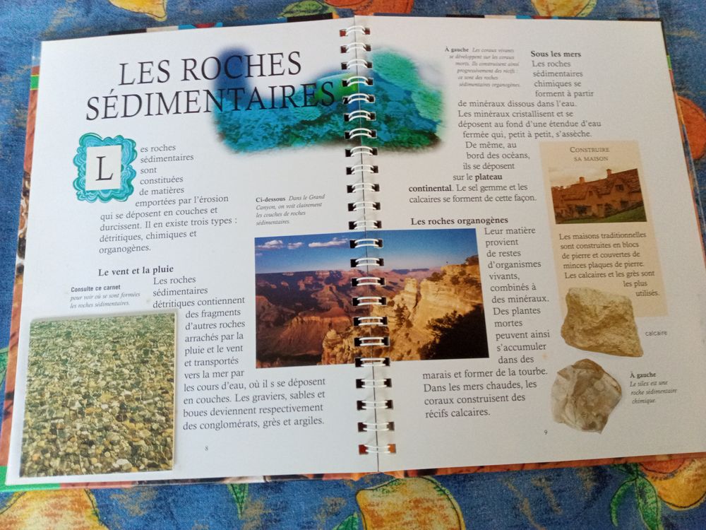 Livre Le Monde Min&eacute;ral Livres et BD