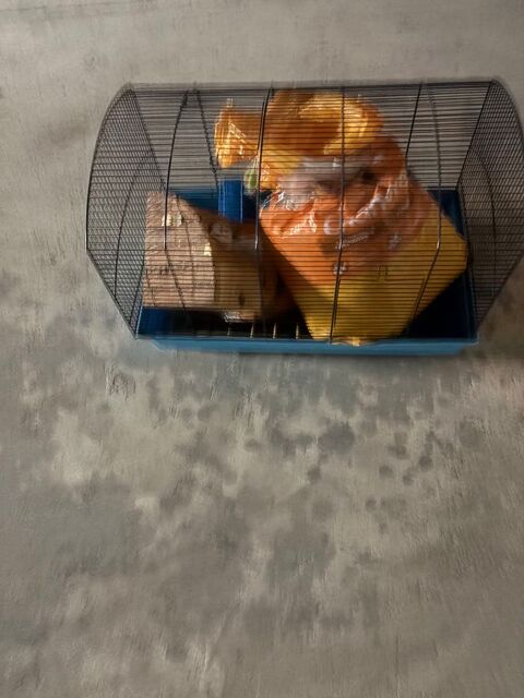 Cage à rongeurs complète à voir sur place Montpellier (34)