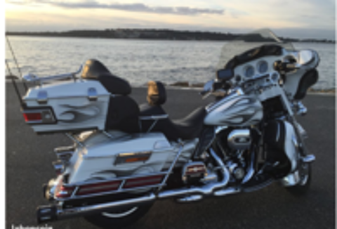 HARLEY-DAVIDSON 2009 occasion 44320 Arthon-en-Retz