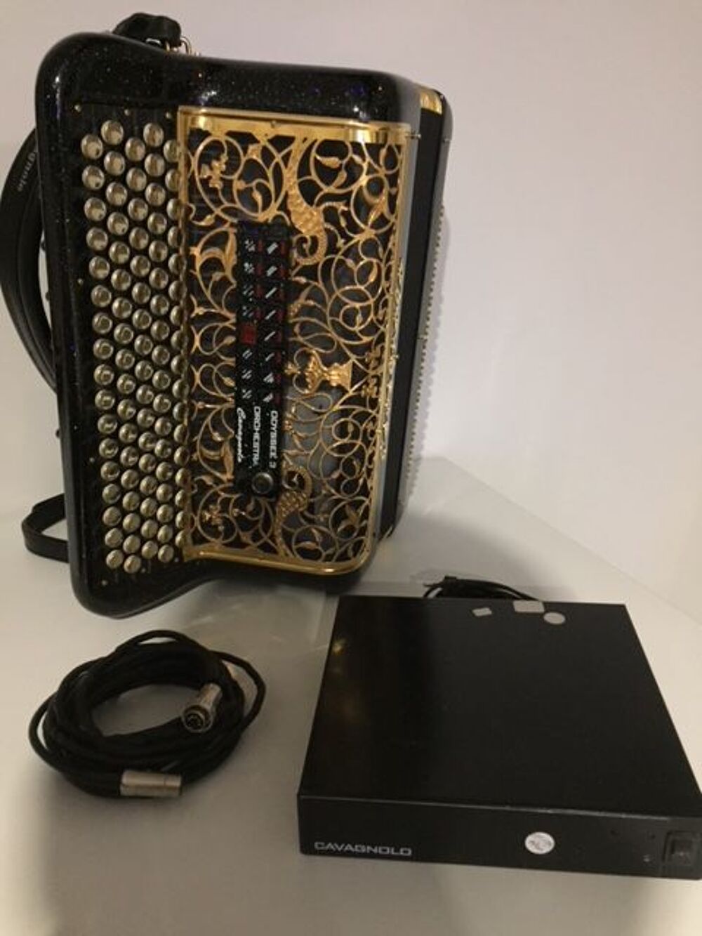 Accord&eacute;on num&eacute;rique CAVAGNOLO Instruments de musique