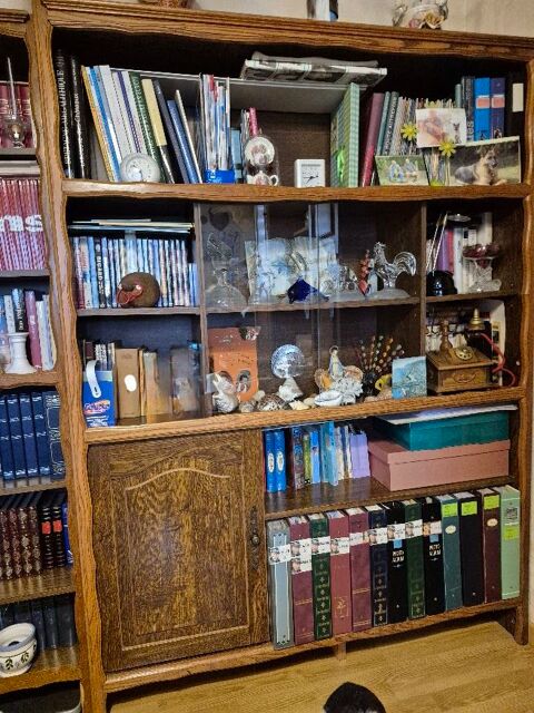 biblioth�que 30 Saint-Dolay (56)