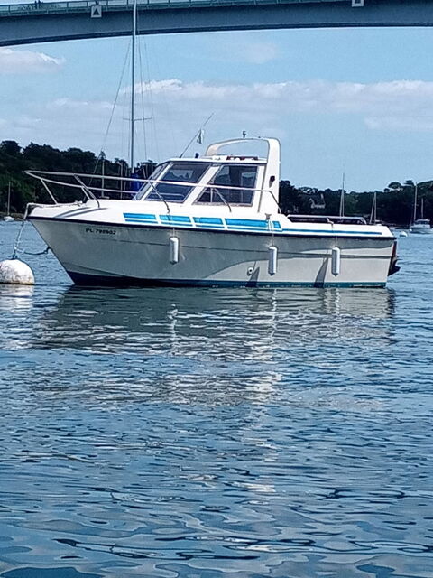 Bateaux à moteur Pêche-promenade 1992 occasion Landrévarzec 29510