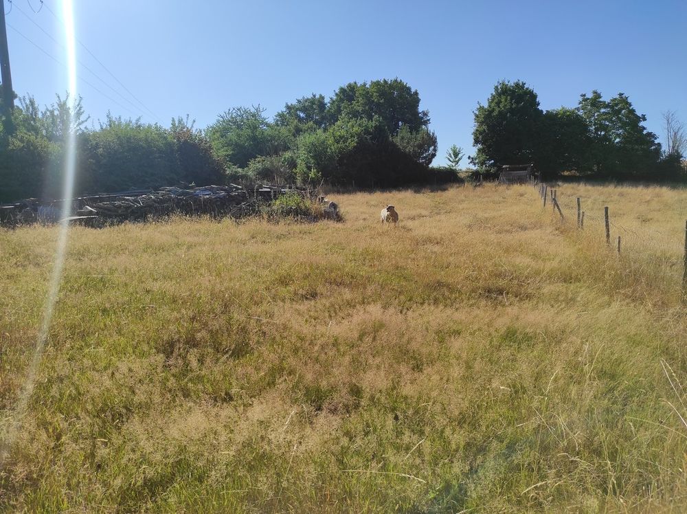 Vente Terrain terrain constructible de 2247 m² à Vouvant (85) Vouvant