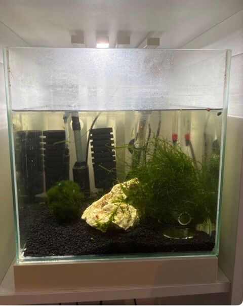 Aquarium 22L tout &eacute;quip&eacute; (lumi&egrave;re + chauffage + exhausteur) 100 91100 Corbeil-essonnes