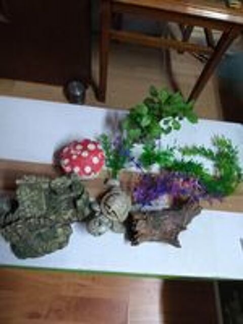   Aquarium +accessoires  