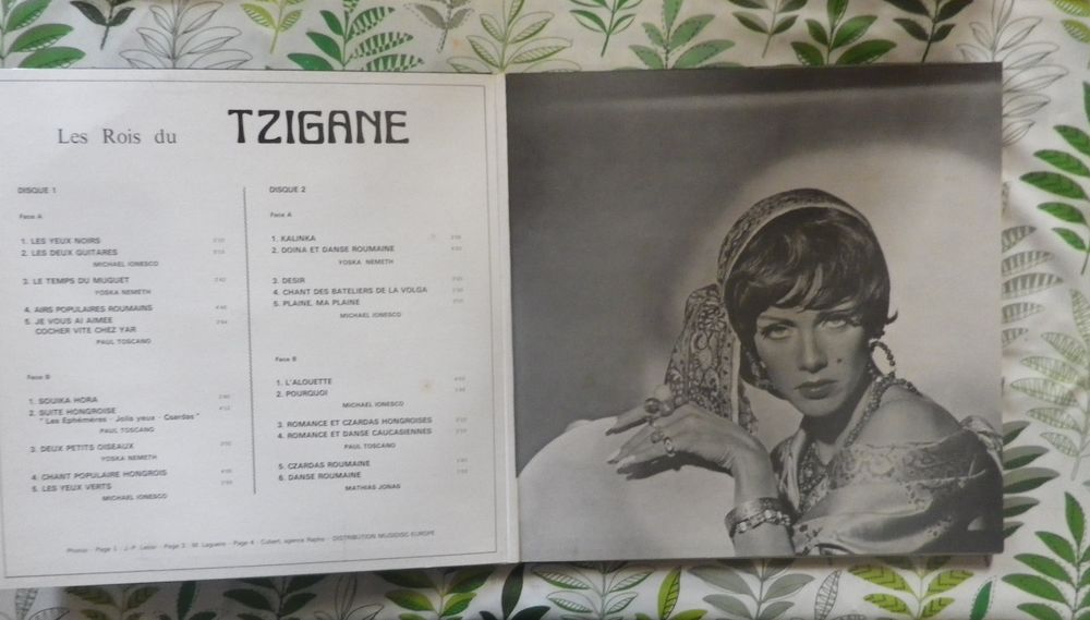 LES ROIS DU TZIGANE Vynil 33T Audio et hifi
