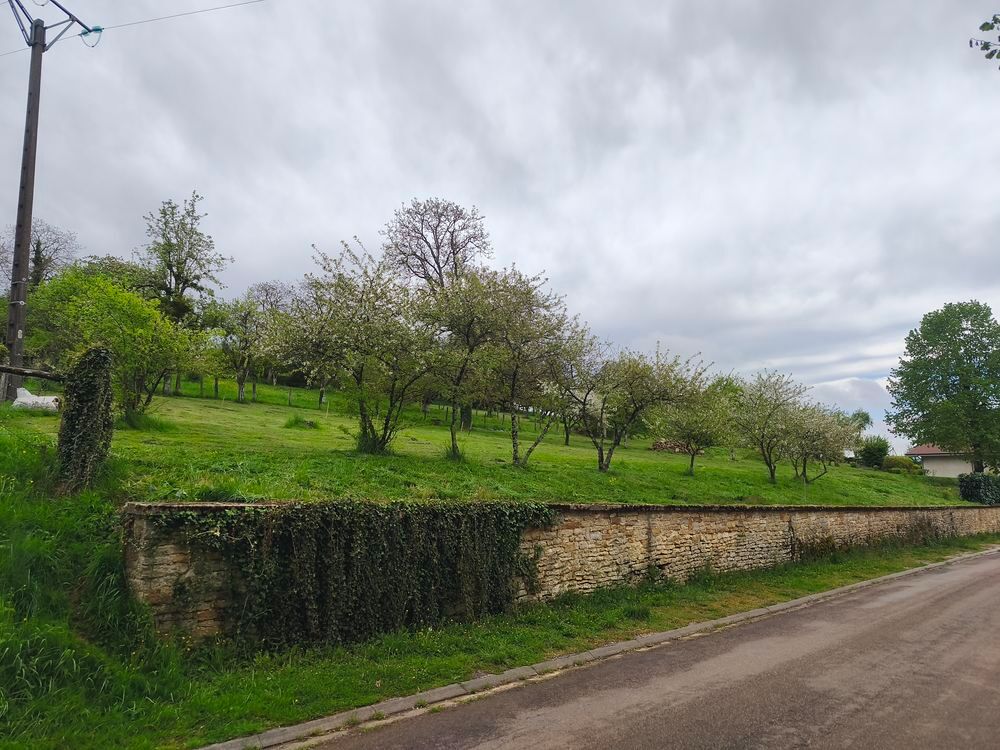 Vente Terrain terrain à bâtir Verseilles-le-bas