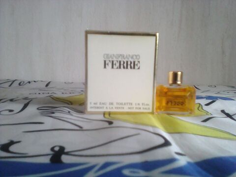 MINIATURE DE PARFUM 5 Trouy (18)