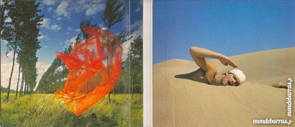 Pink Floyd Wish you were here (remasteris&eacute;) CD et vinyles