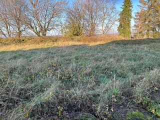  Terrain  vendre 2050 m La villedieu-en-fontenette