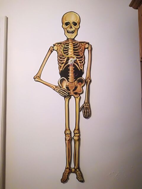 Grand Squelette D�corartif Articul� 12 Barentin (76)