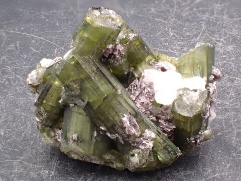 Tourmaline Elba�te & Verd�lite & L�pidolite , Minas Gerais , 25 Bertrichamps (54)