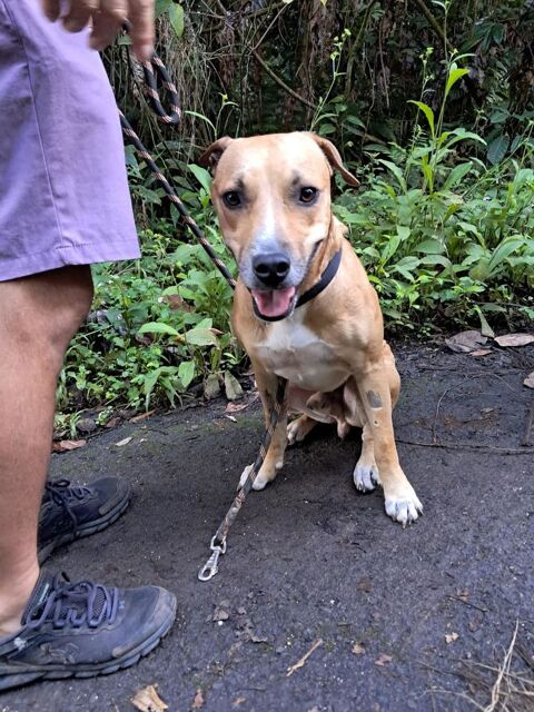 A&Iuml;KO la douceur des &icirc;les 350 51000 Ch�lons-en-champagne