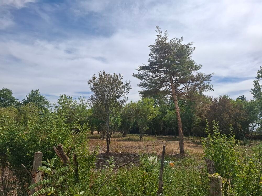 Vente Terrain Terrains de 3170m2 avec une partie constructive de 1200m2 Méreau