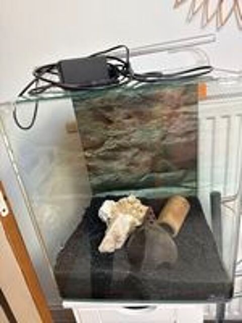   Aquarium cube  