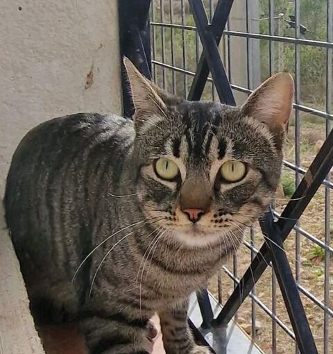 RAYA 230 27620 Gasny