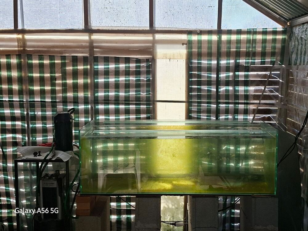   aquarium 450 litres 