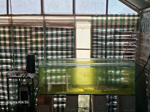 aquarium 450 litres 167 37190 Azay-le-rideau