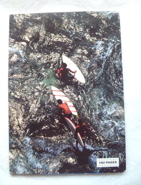 Cahier A4 192 pages, petits carreaux, velin surfin 70 g 4 Villeurbanne (69)