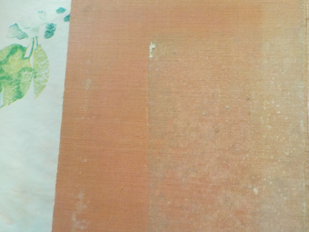 LE PETIT CHASSEUR DE LA PAMPA de Arnold GALOPIN 1 &agrave; 50 1925 Livres et BD