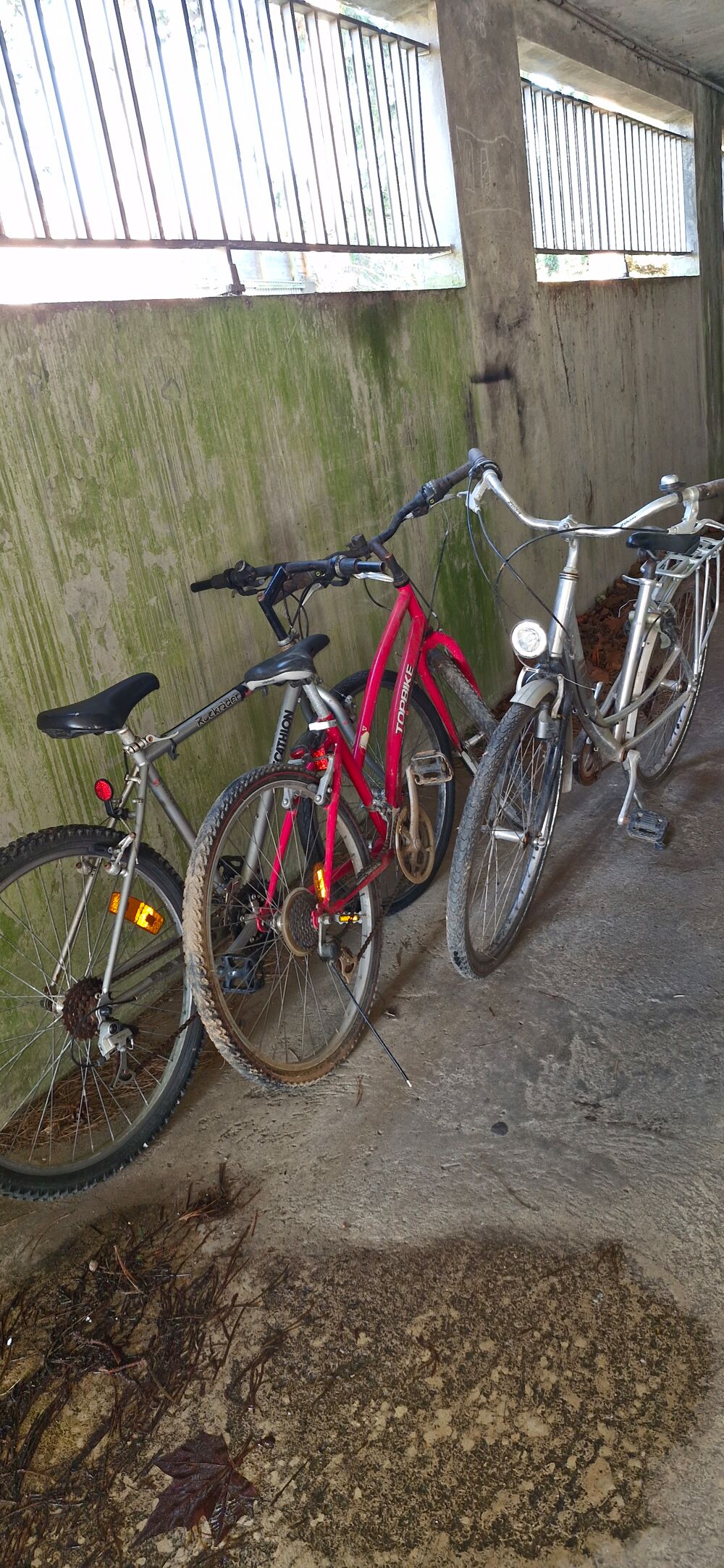 Velo Vélos