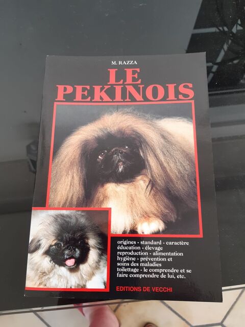 Le Pékinois 5 Aytré (17)