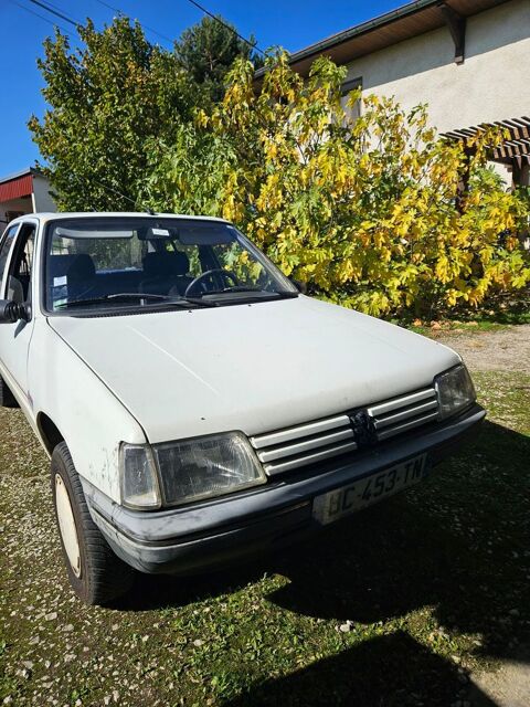 Peugeot 205 1.7 D Color line