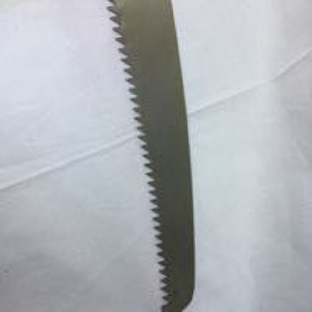 Lame de rechange pour scie perche 35 cm Jardin