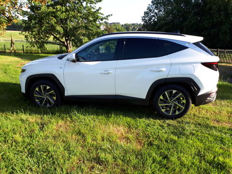 Hyundai Tucson 1.6 CRDi 136 Hybrid 48V DCT-7 Creative 2022 occasion Arnac-Pompadour 19230