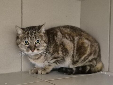 Didi 200 26700 Pierrelatte