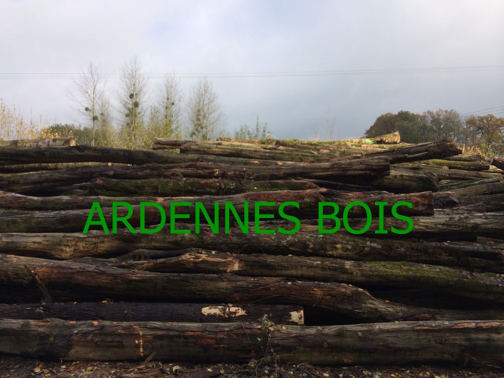 Bois de chauffage en longueur de 2 m&egrave;tres Bricolage