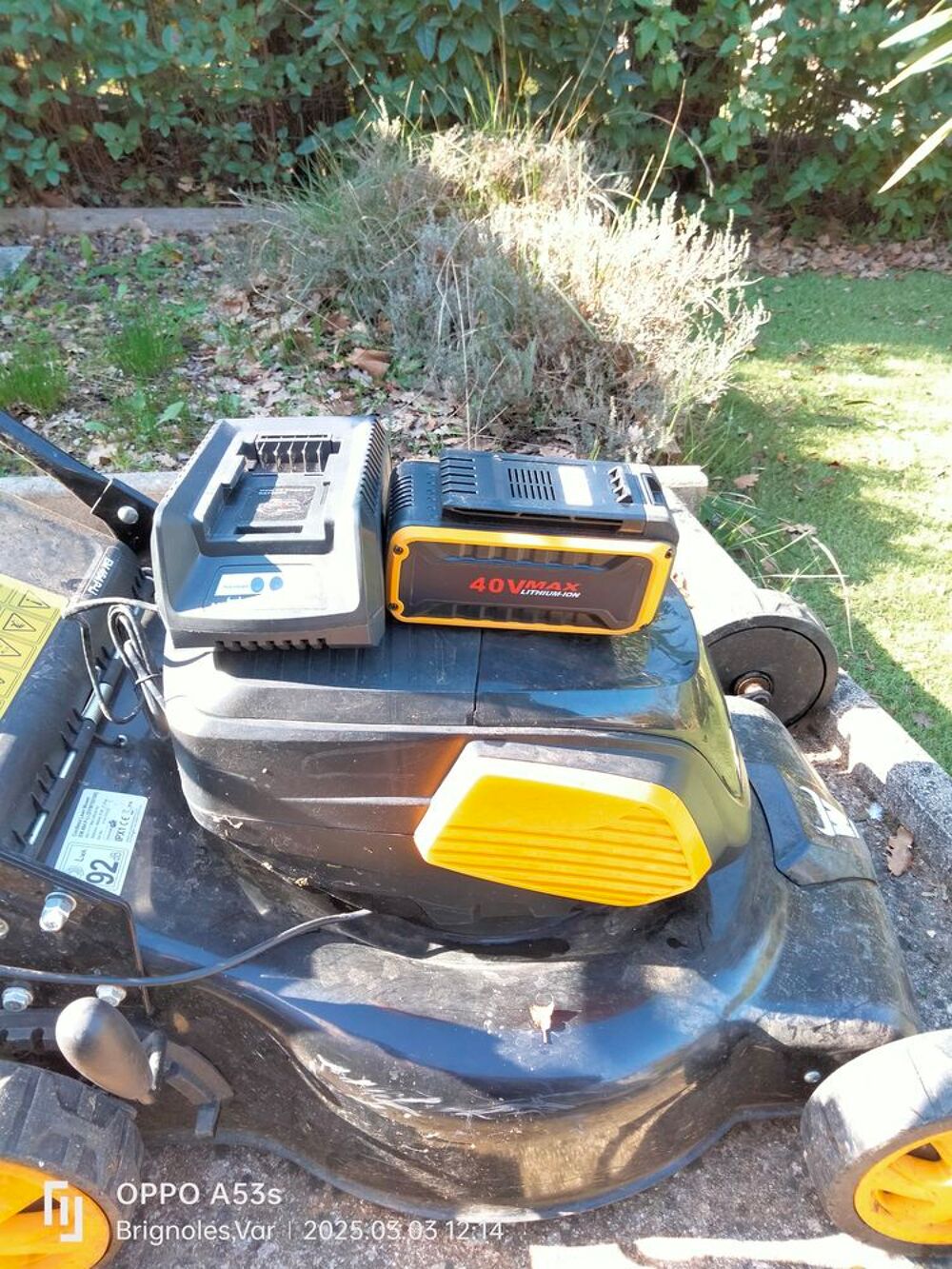 Tondeuse sans fil avec batterie et chargeur Jardin