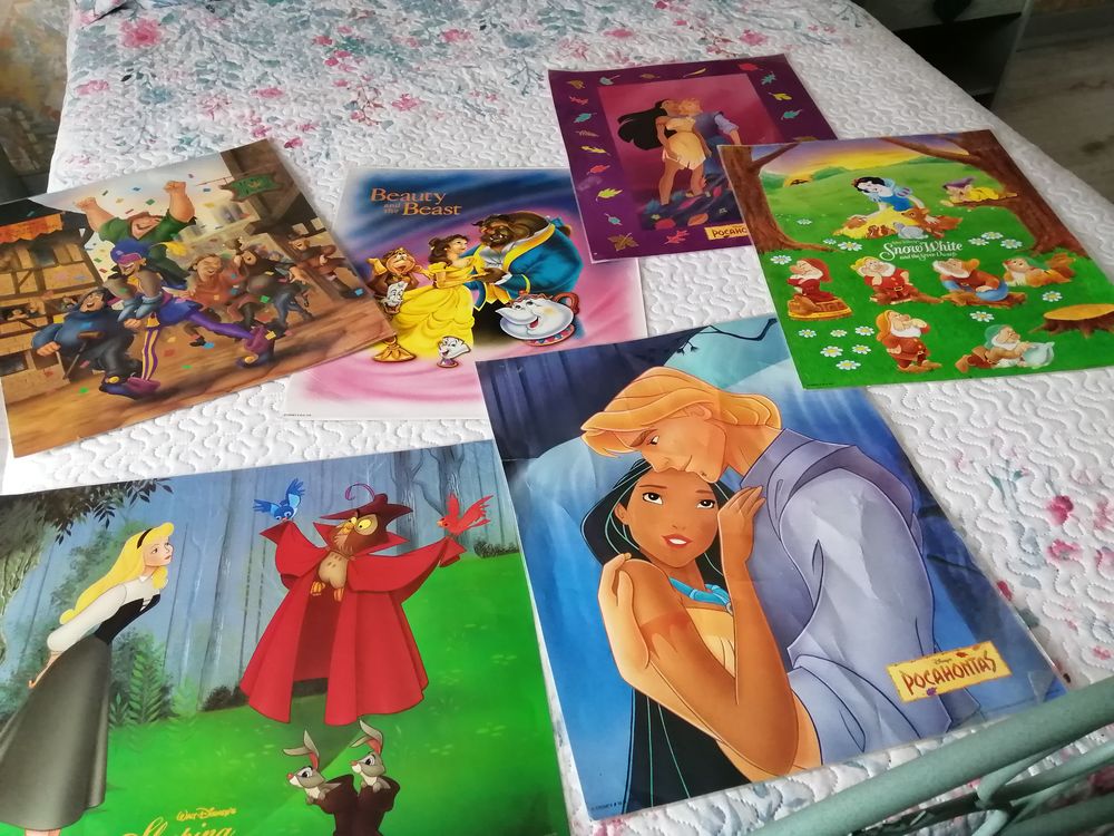 POSTERS PLASTIFIES Décoration