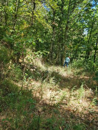  Terrain � vendre 11000 m� 