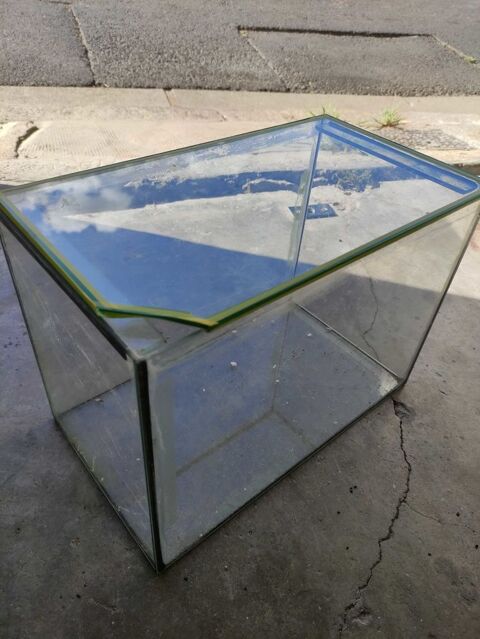 Aquarium 10 litres 30 B�ziers (34)