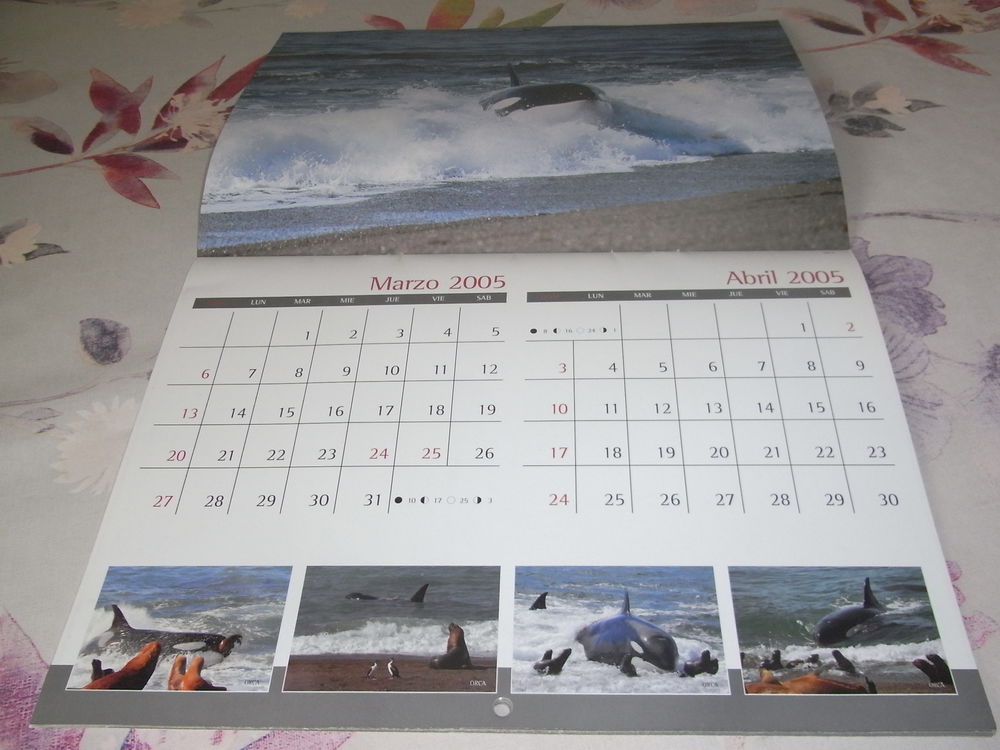 calendrier 2005 sur les animaux de patagonie 