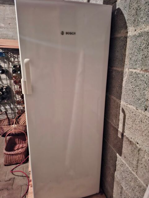 Congélateur Bosch no-frost 80 Beaucroissant (38)
